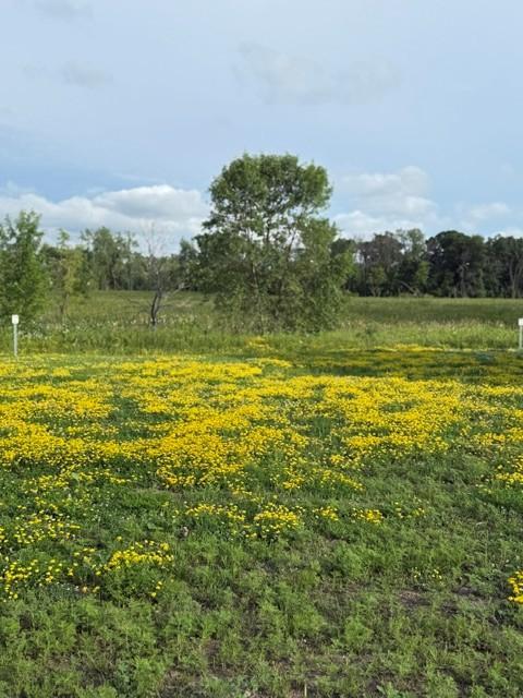 Vacant Land For Sale - 26381 Preserve Drive<br/> Scott County, Elko New Market, MN 55054