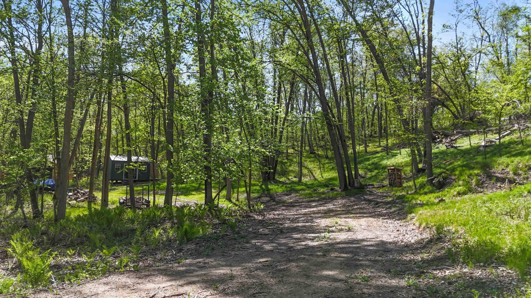 8713 Forest Cove, Pequot Lakes, Minnesota image 13