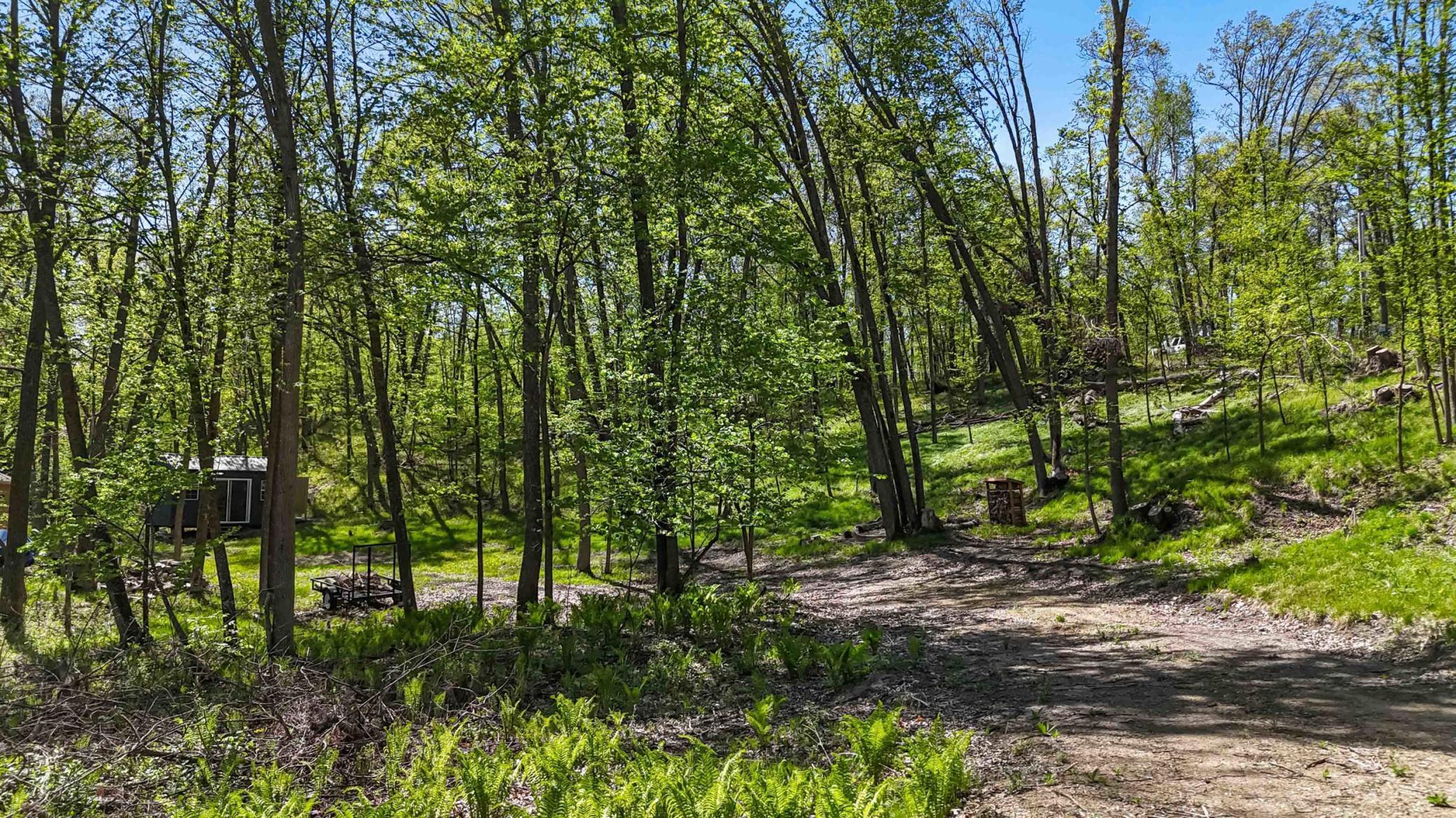 8713 Forest Cove, Pequot Lakes, Minnesota image 11
