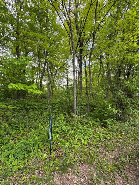 Vacant Land For Sale - XXXX 241st Avenue<br/> Stacy, MN 55079