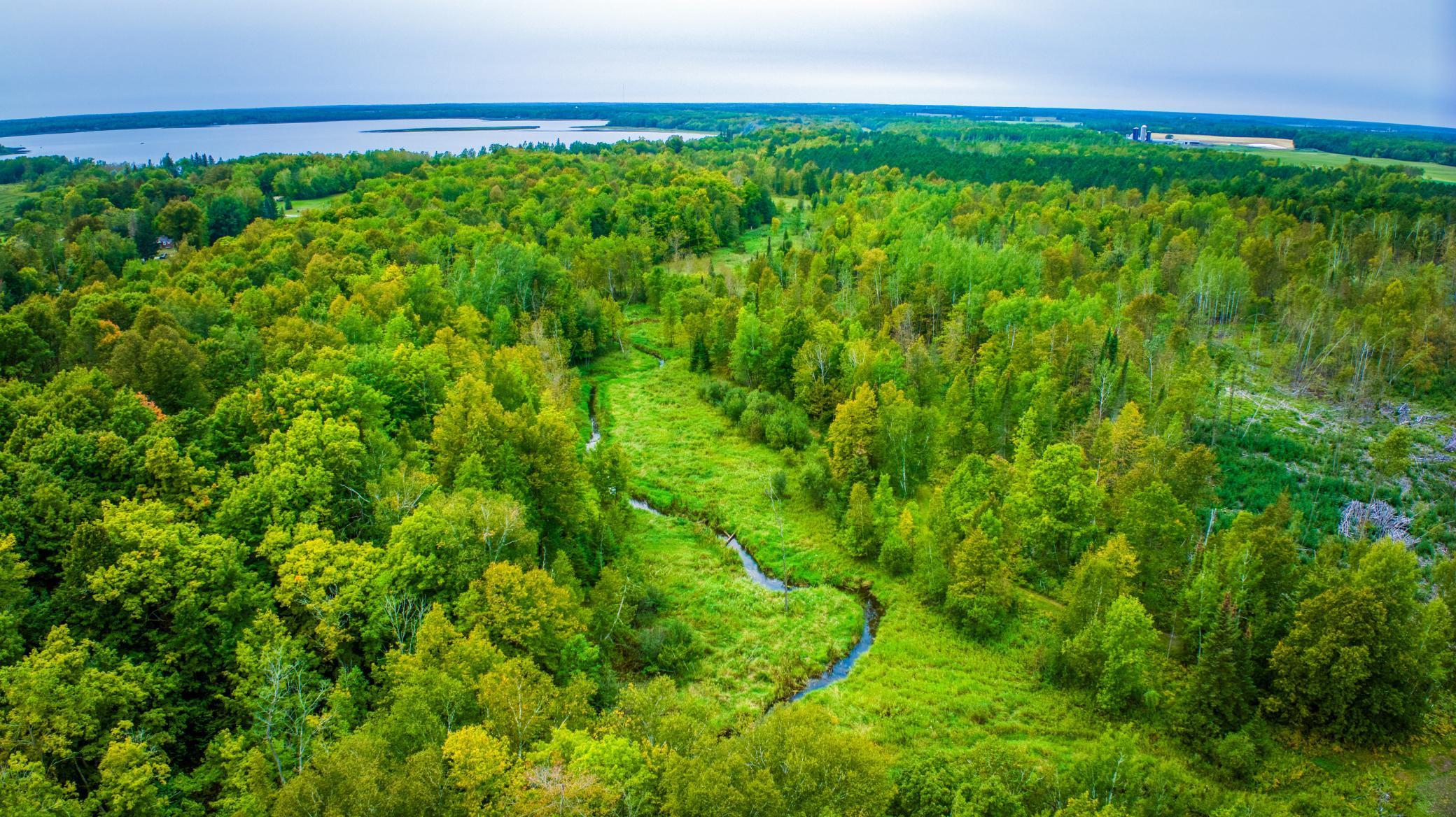 000 Blackduck Lake Road, Hines, Minnesota image 2