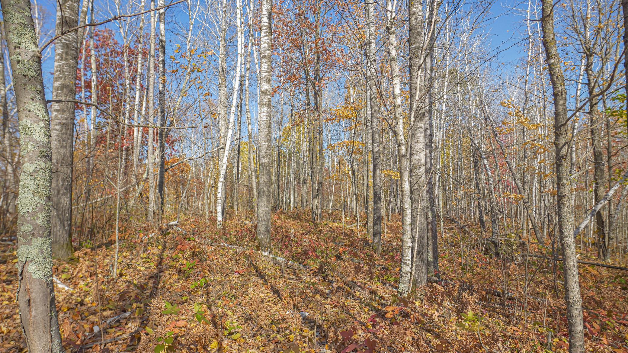 TBD Wildernessa Road, Deer River, Minnesota image 4