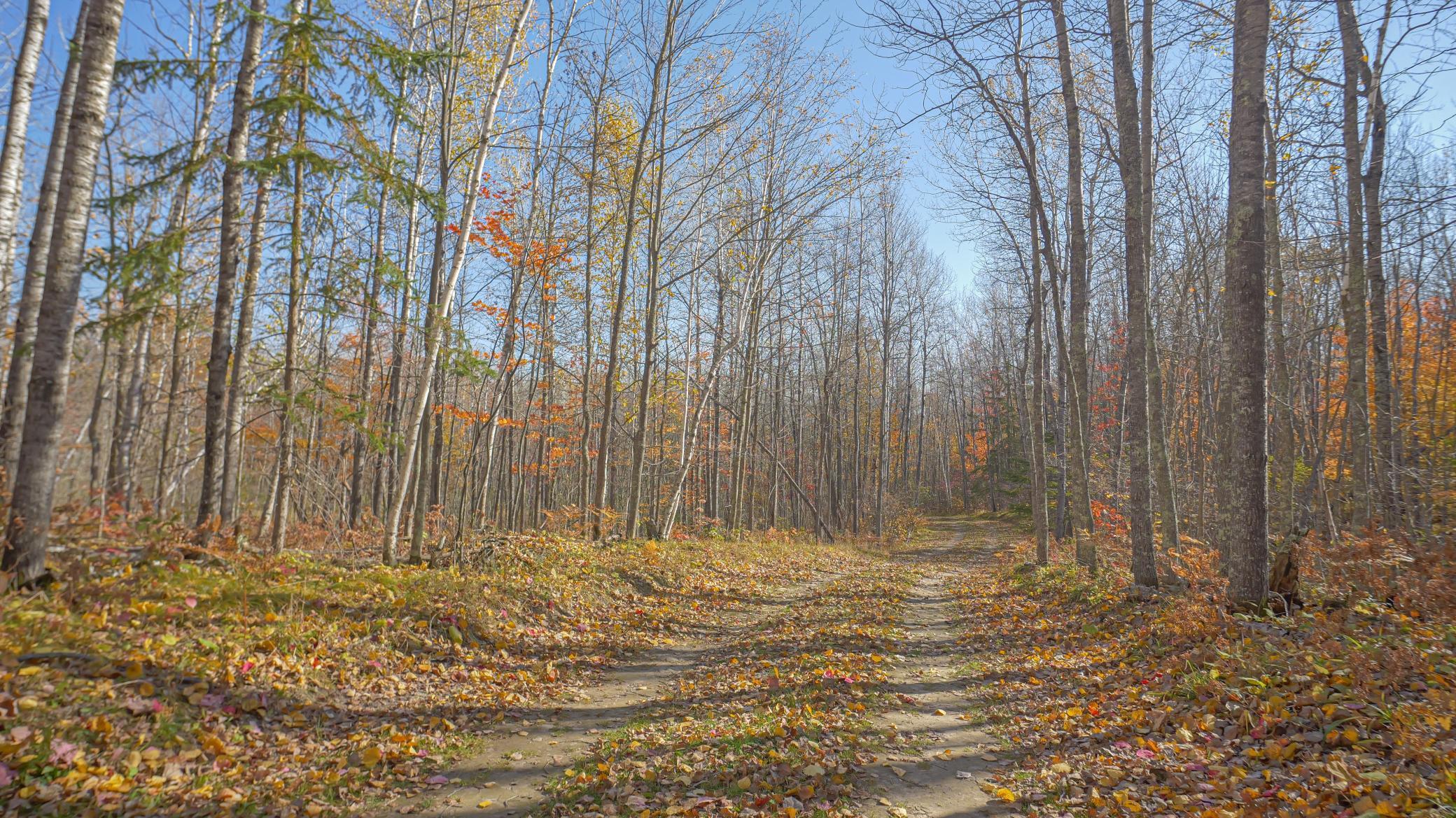 TBD Wildernessa Road, Deer River, Minnesota image 2