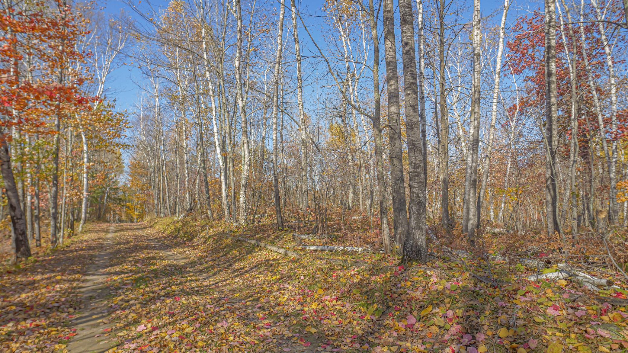 TBD Wildernessa Road, Deer River, Minnesota image 3