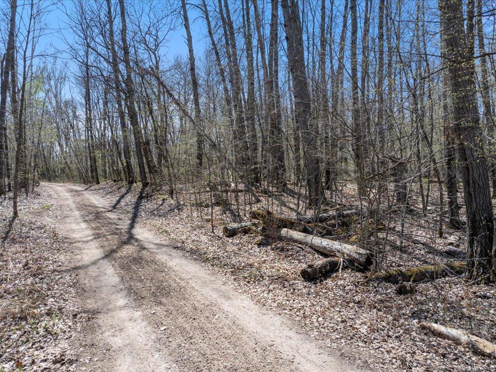 TBD Taylor Road, Deerwood, Minnesota image 25