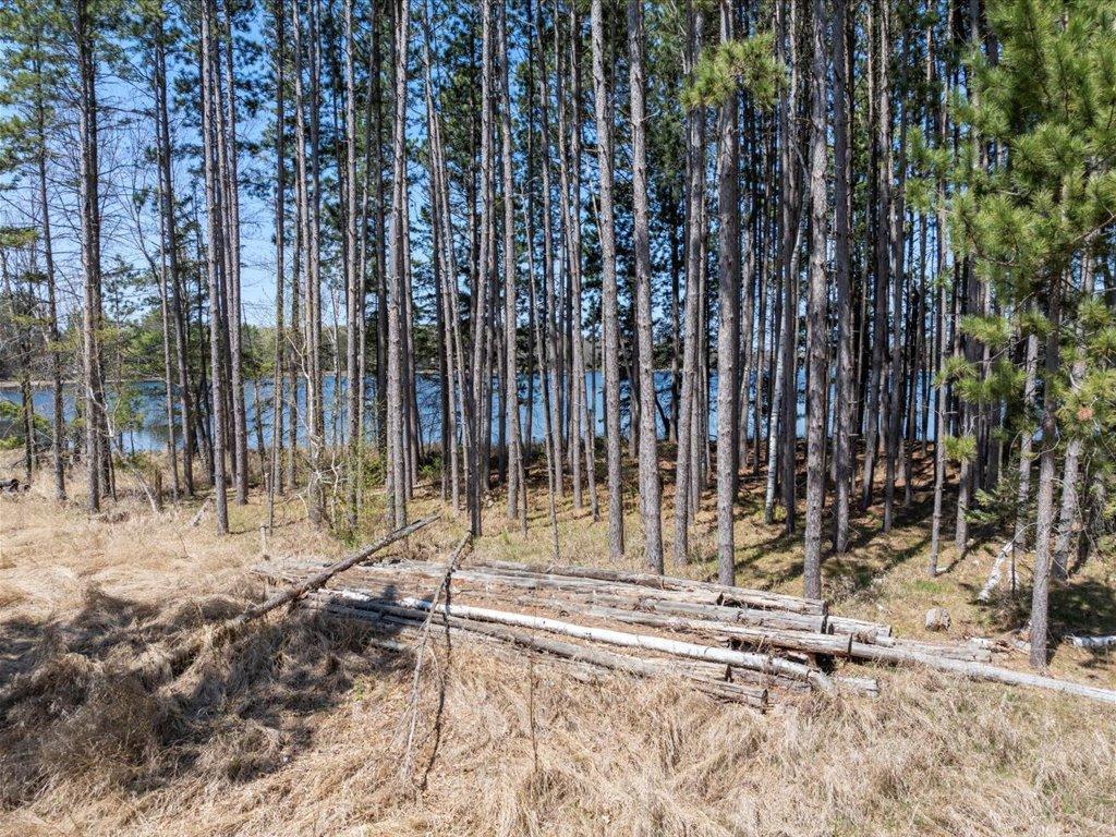 TBD Taylor Road, Deerwood, Minnesota image 20