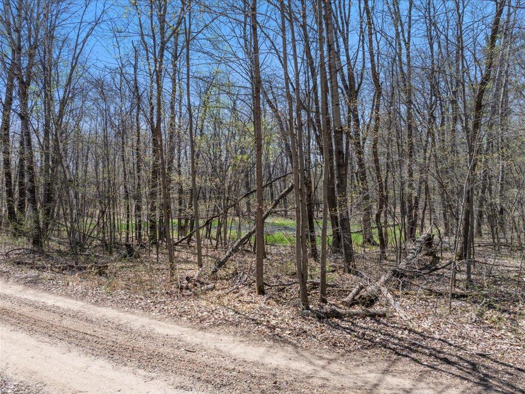 TBD Taylor Road, Deerwood, Minnesota image 24