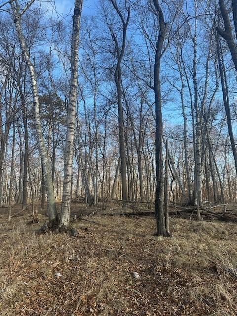 L5B2 Wilderness Parkway, Crosslake, Minnesota image 1
