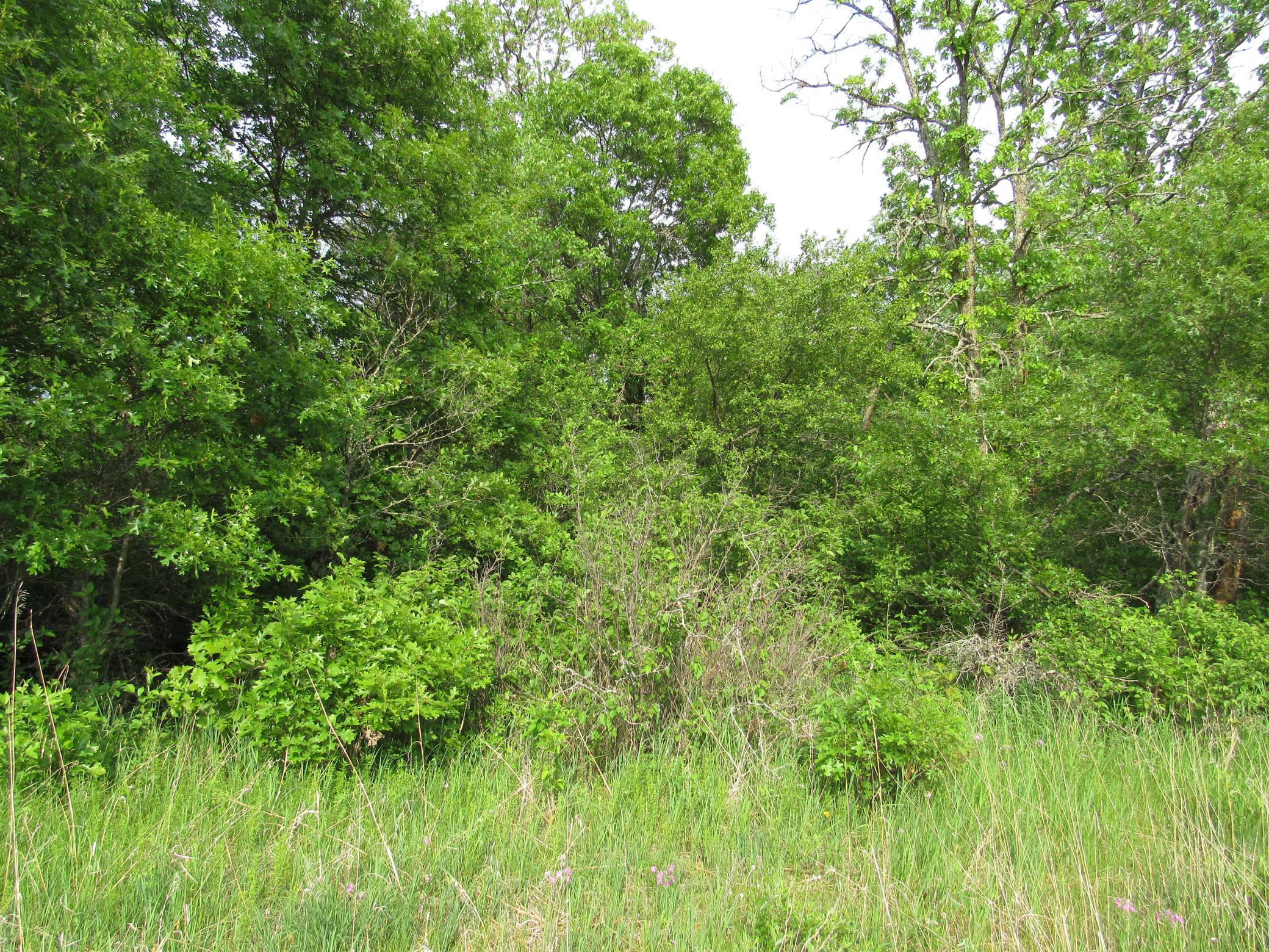 TBD PARCEL 12 32nd Ave, Backus, Minnesota image 2