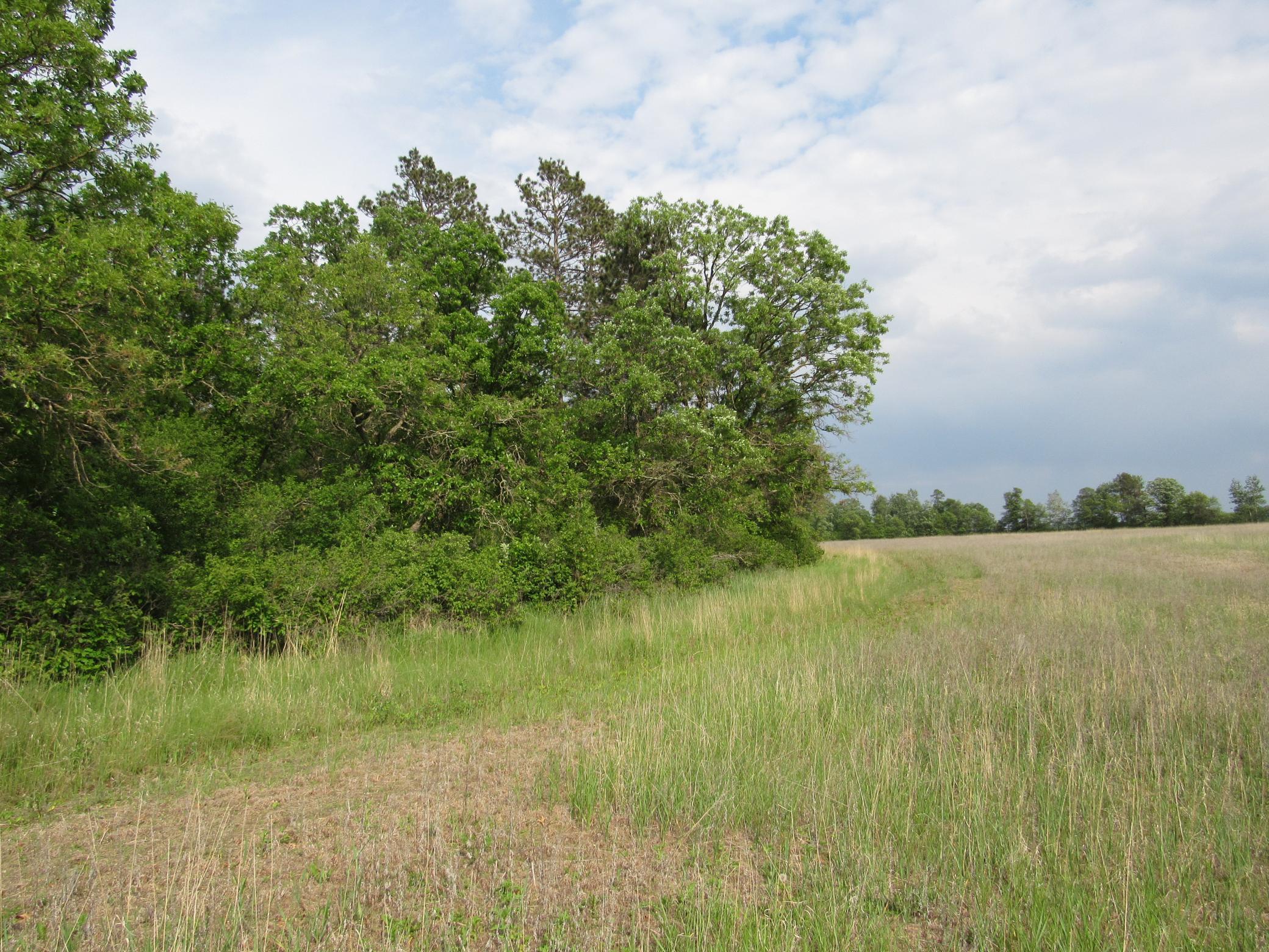 TBD PARCEL 12 32nd Ave, Backus, Minnesota image 3