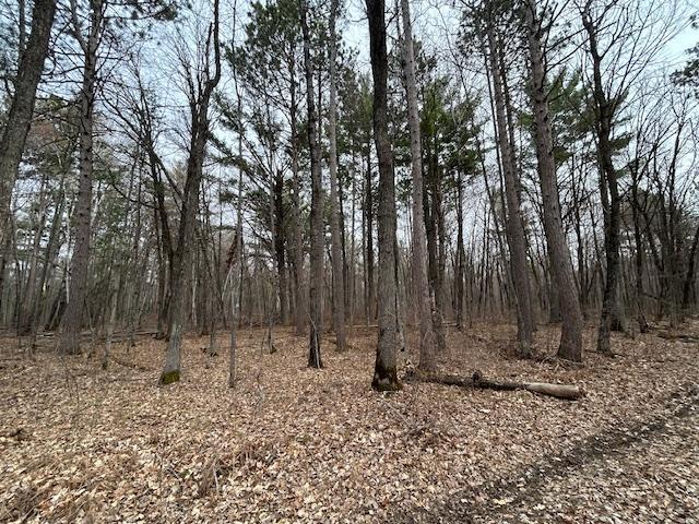 XXX Oak Point Road, Cass Lake, Minnesota image 13