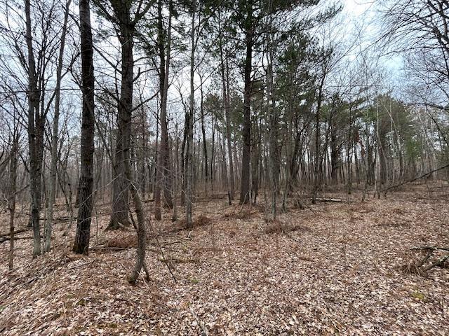 XXX Oak Point Road, Cass Lake, Minnesota image 7