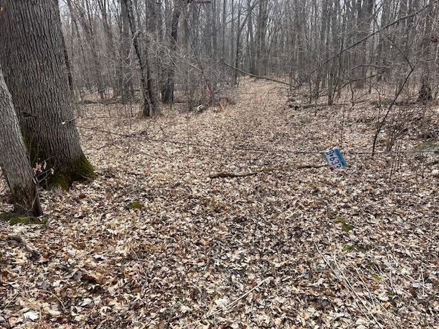 XXX Oak Point Road, Cass Lake, Minnesota image 15
