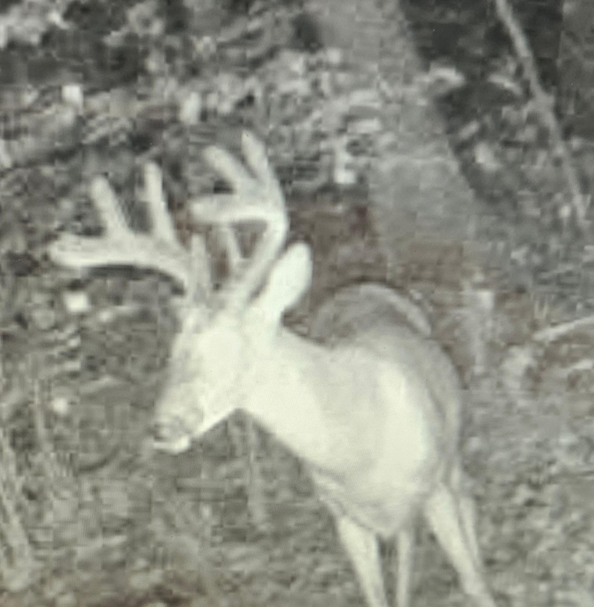 XXX Oak Point Road, Cass Lake, Minnesota image 4