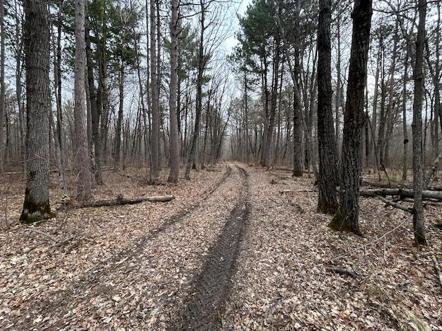 XXX Oak Point Road, Cass Lake, Minnesota image 12