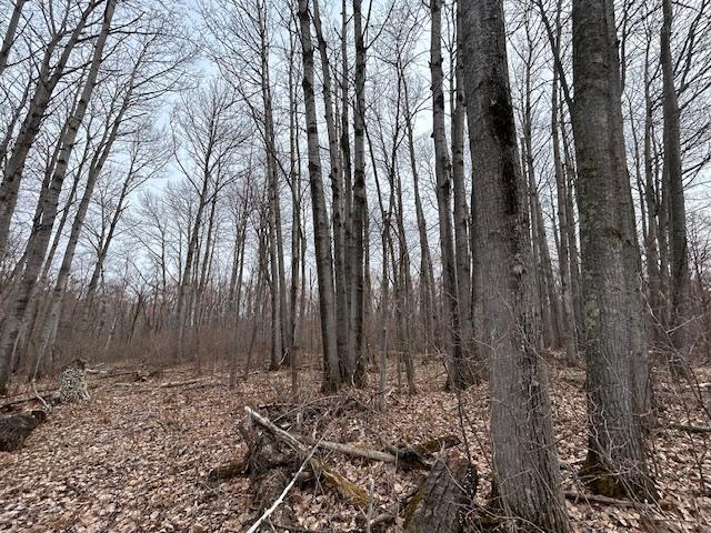 XXX Oak Point Road, Cass Lake, Minnesota image 14