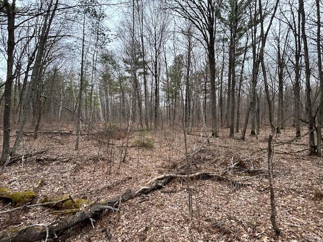 XXX Oak Point Road, Cass Lake, Minnesota image 6