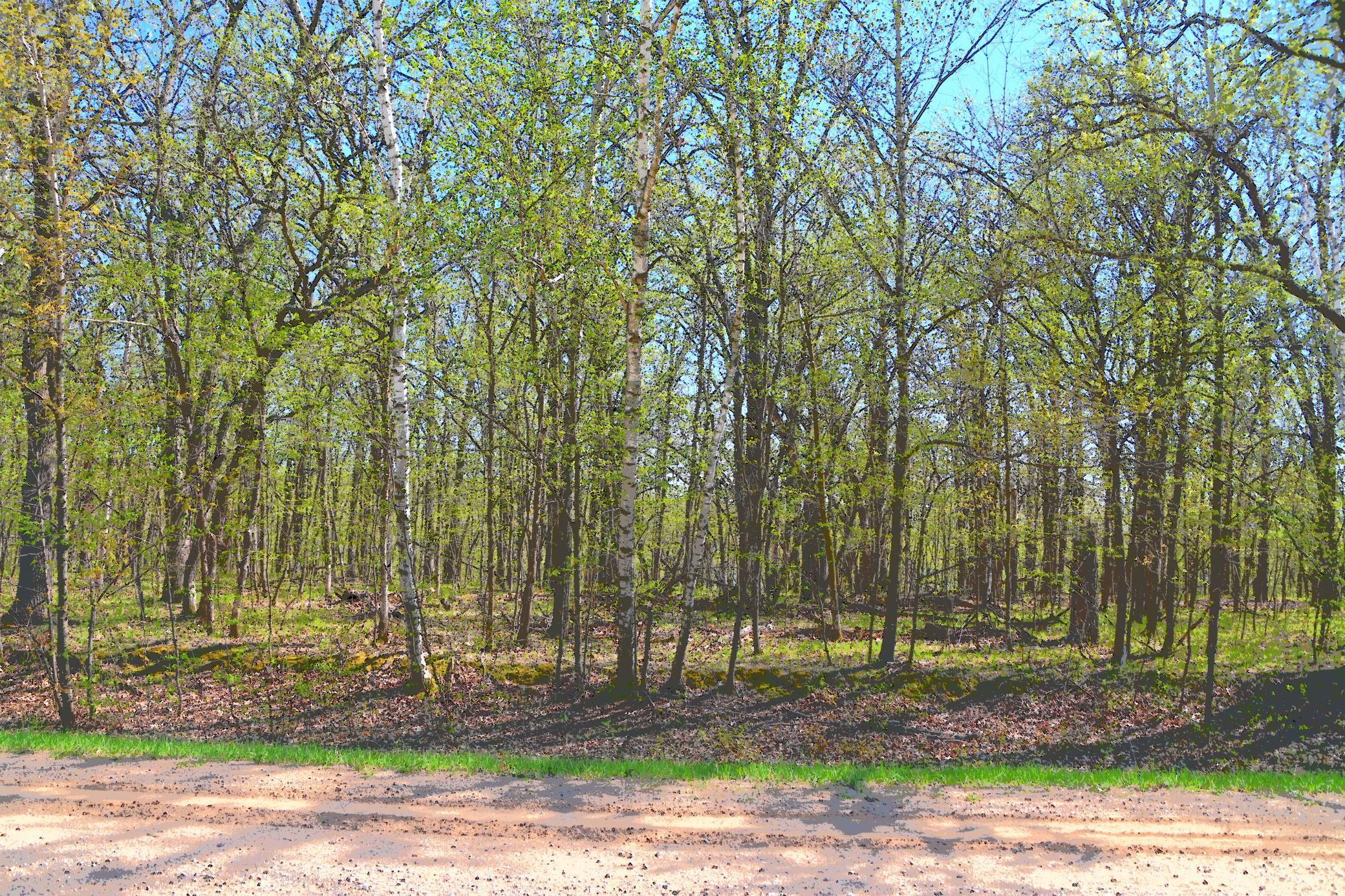 8 392nd Street, Browerville, Minnesota image 2