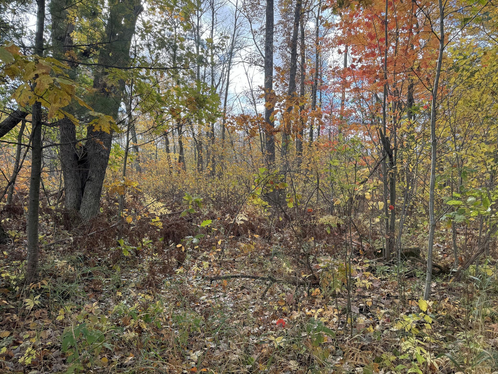 X N Lakeside Road, Minong, Wisconsin image 23