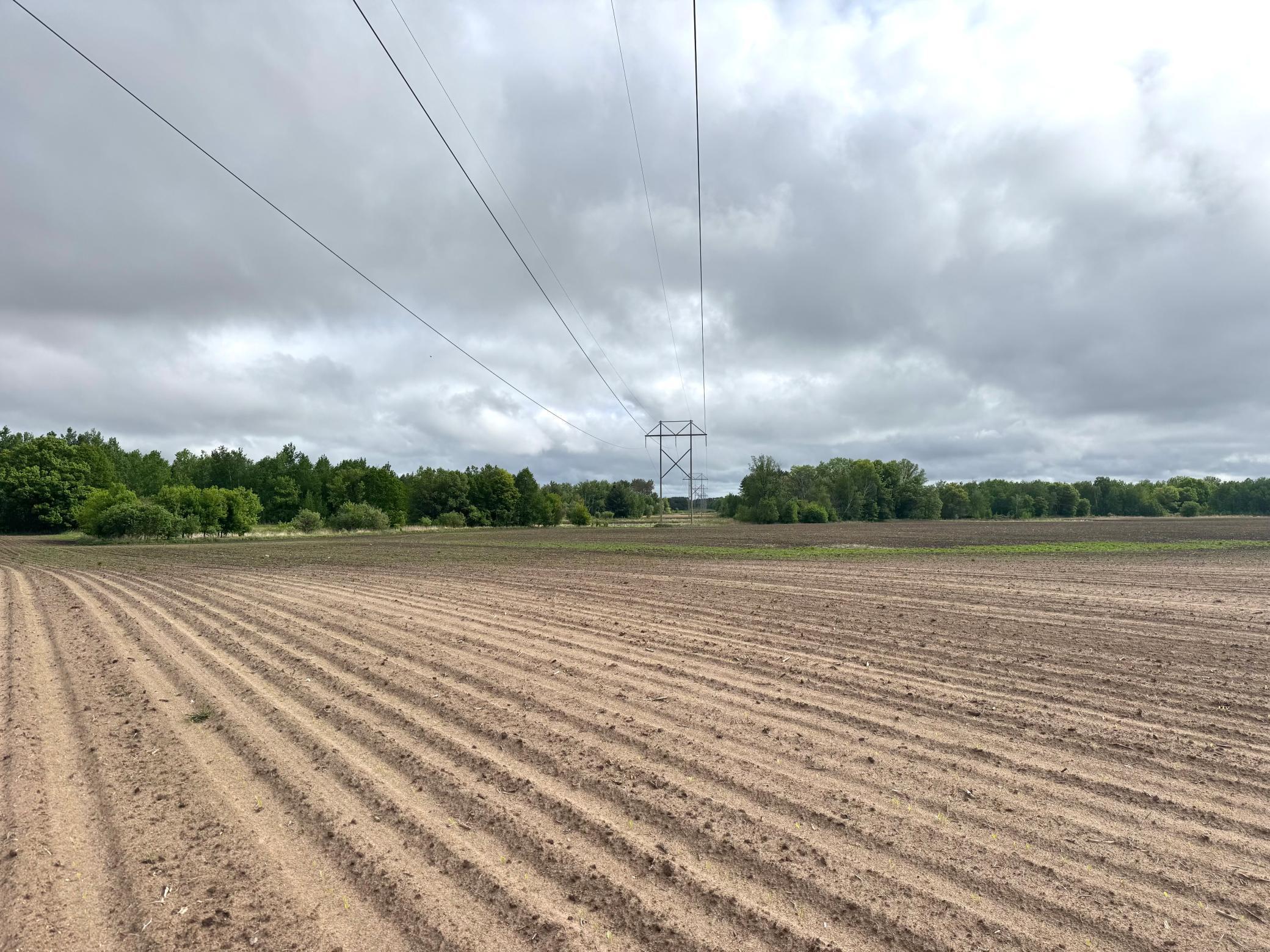 Parcel A 26+/- AC 470th Street, Harris, Minnesota image 9