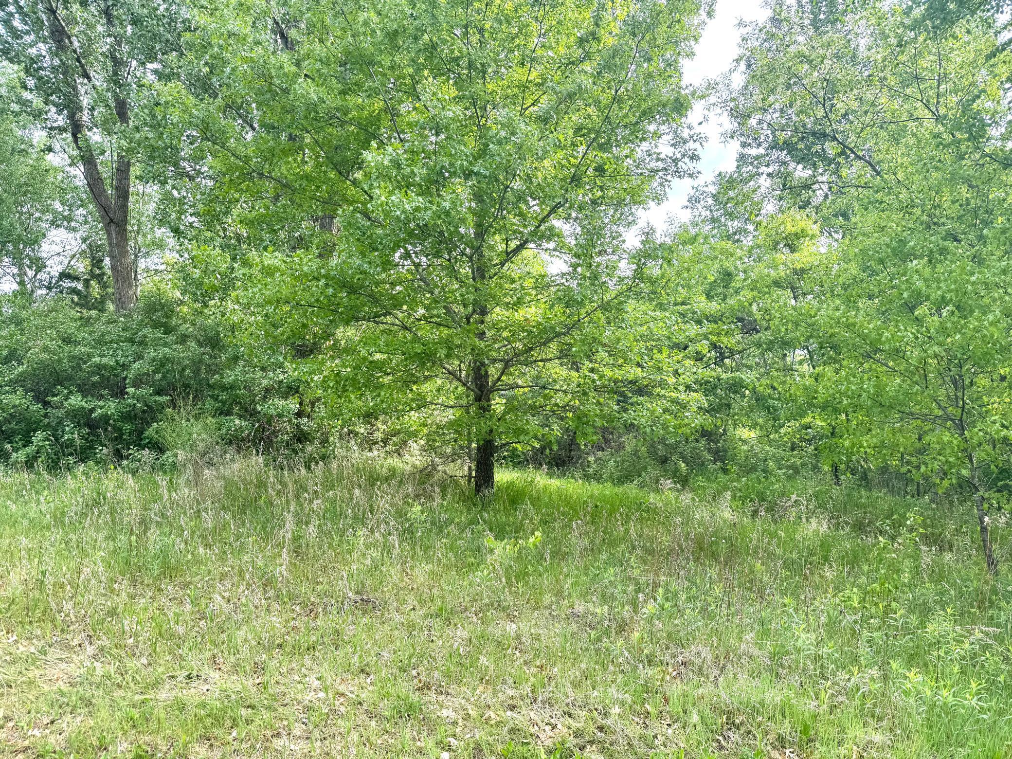 Parcel A 26+/- AC 470th Street, Harris, Minnesota image 6
