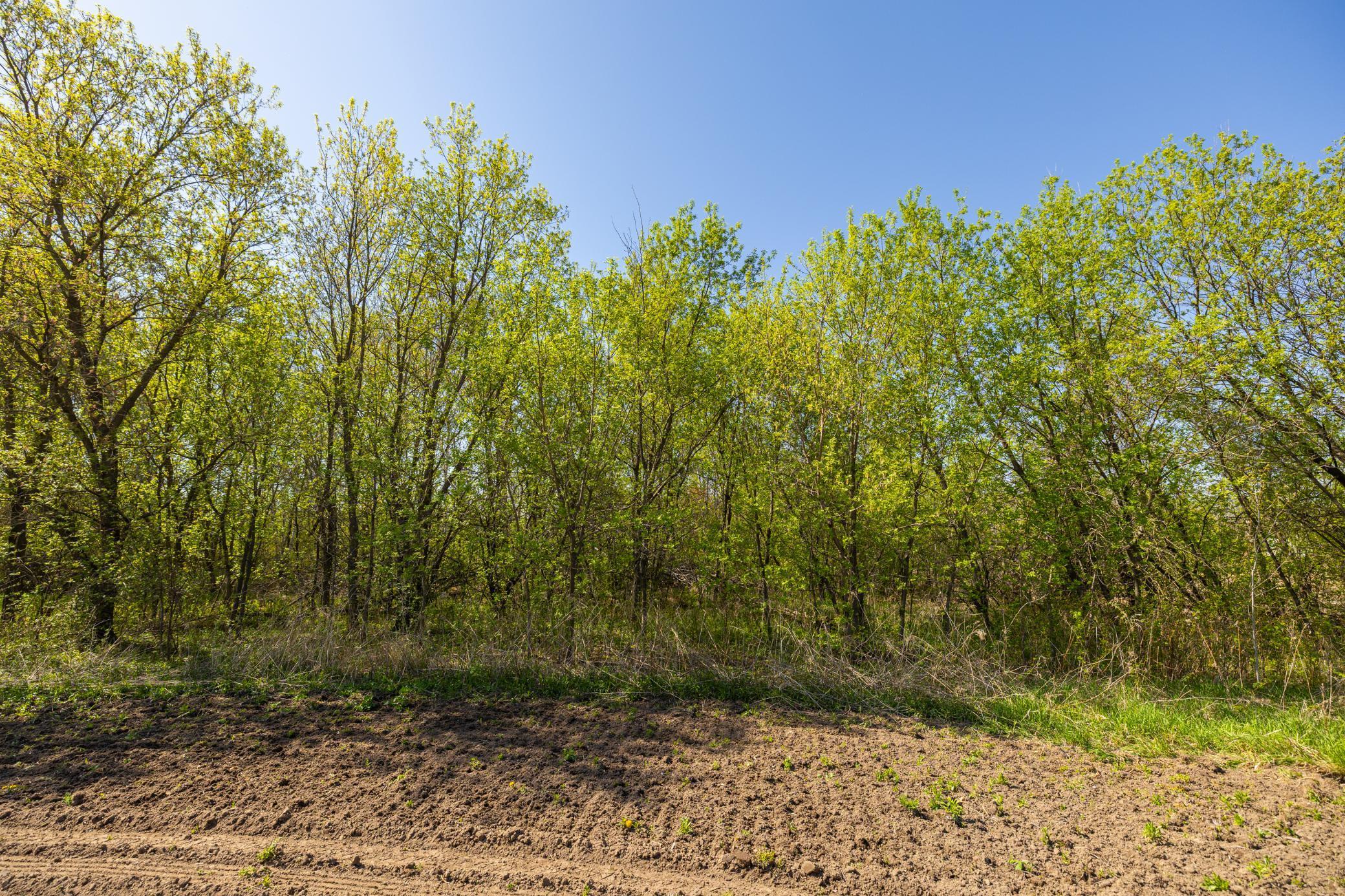 Parcel A 26+/- AC 470th Street, Harris, Minnesota image 18