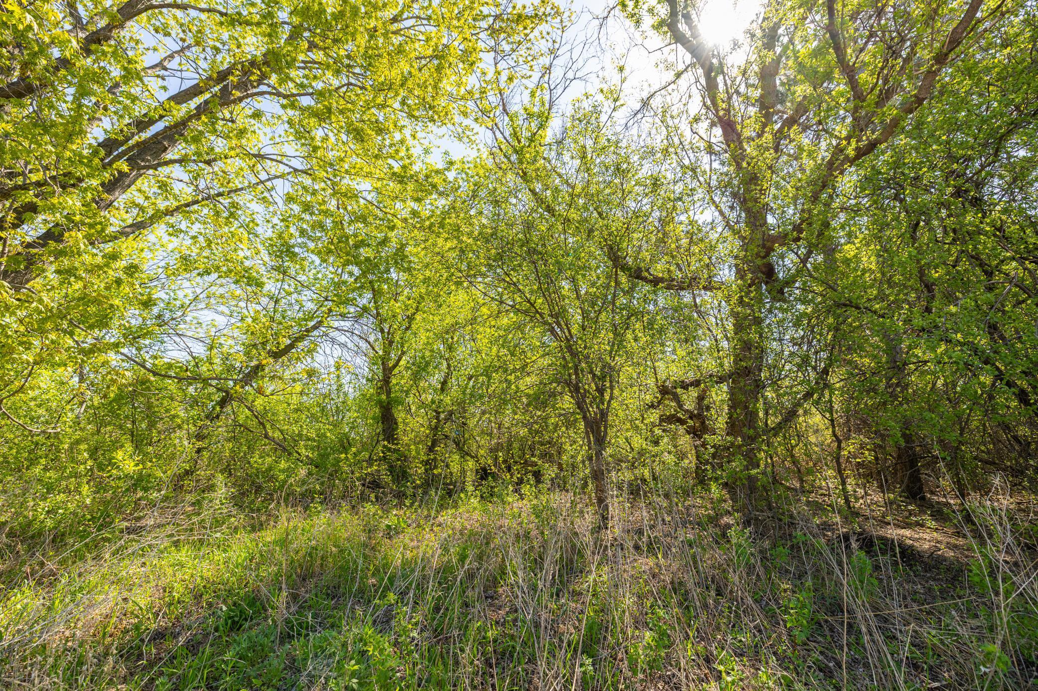 Parcel A 26+/- AC 470th Street, Harris, Minnesota image 24