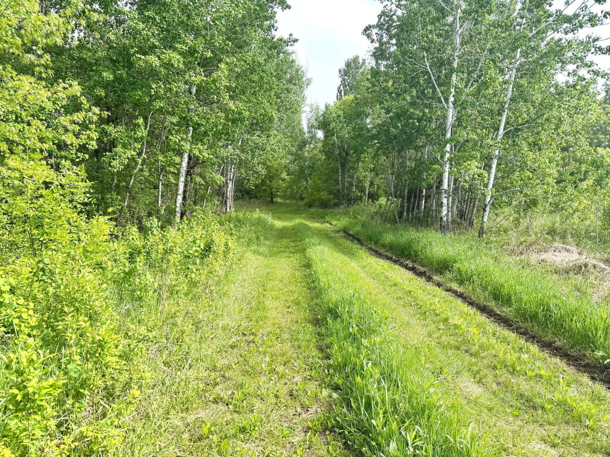 Parcel A 26+/- AC 470th Street, Harris, Minnesota image 2