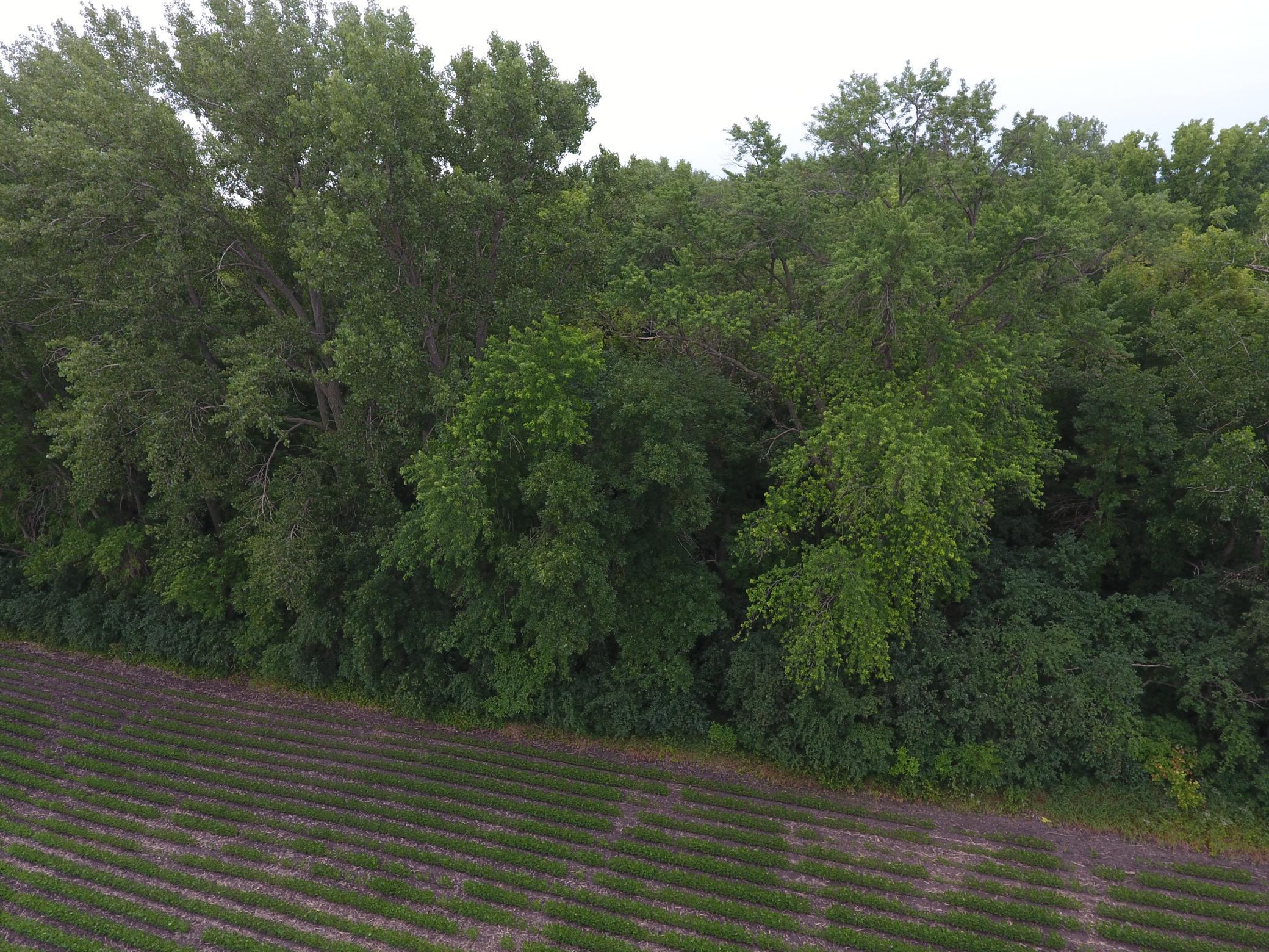 Lot 2 Tagus Avenue, Hutchinson, Minnesota image 10