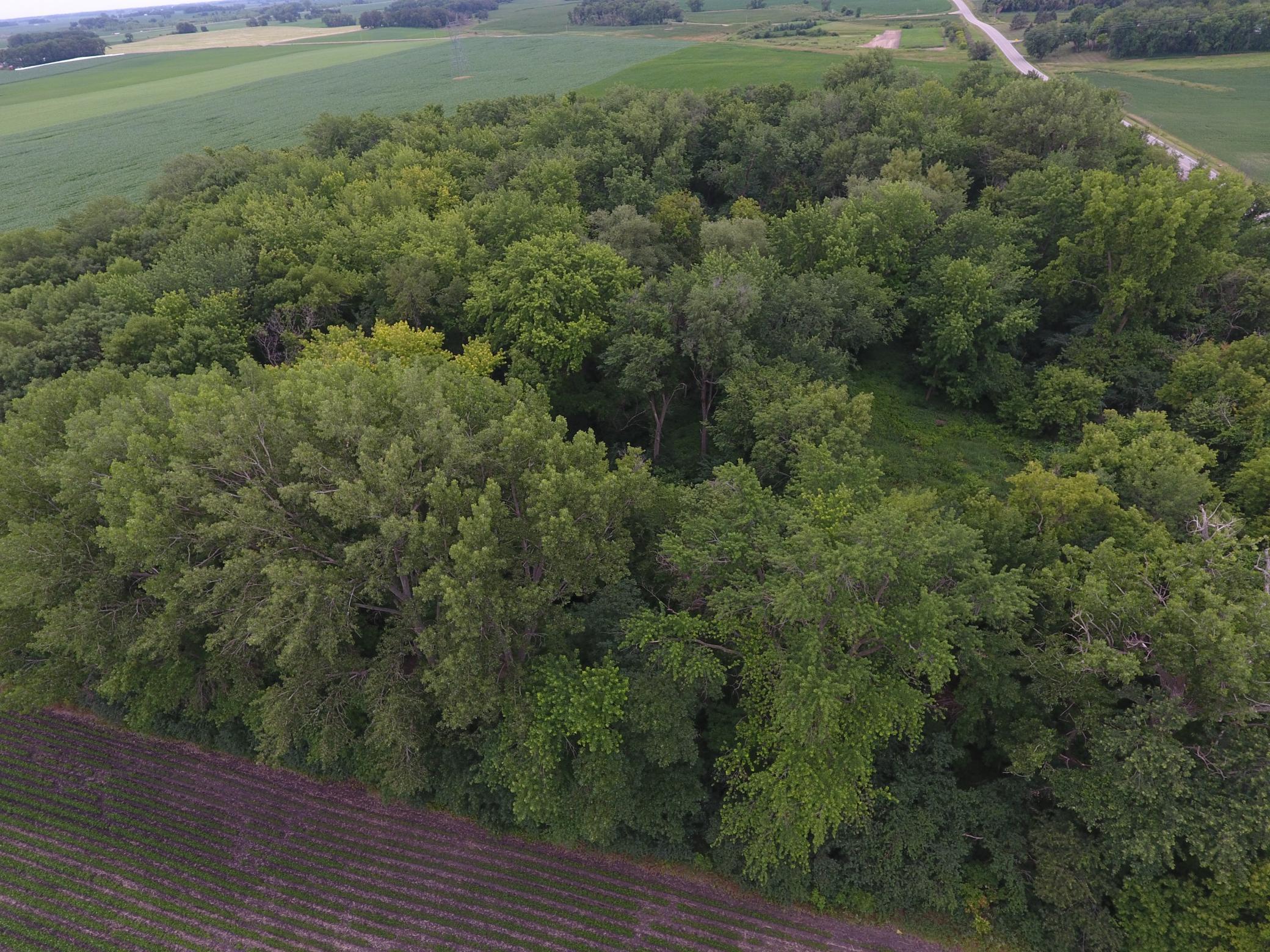 Lot 2 Tagus Avenue, Hutchinson, Minnesota image 12