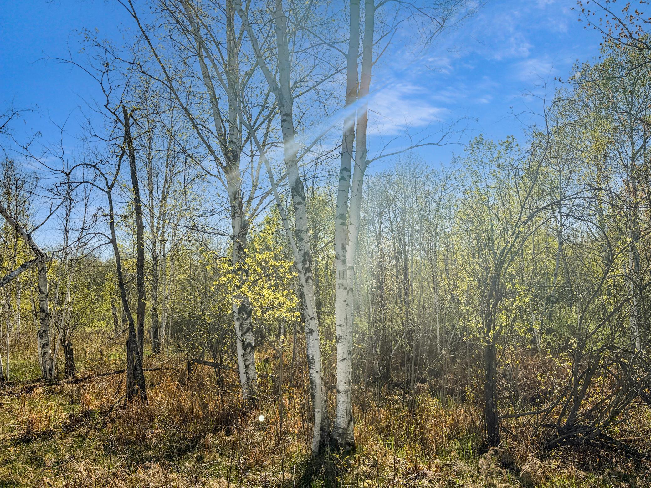 398 11 1/2 Avenue, Turtle Lake, Wisconsin image 12