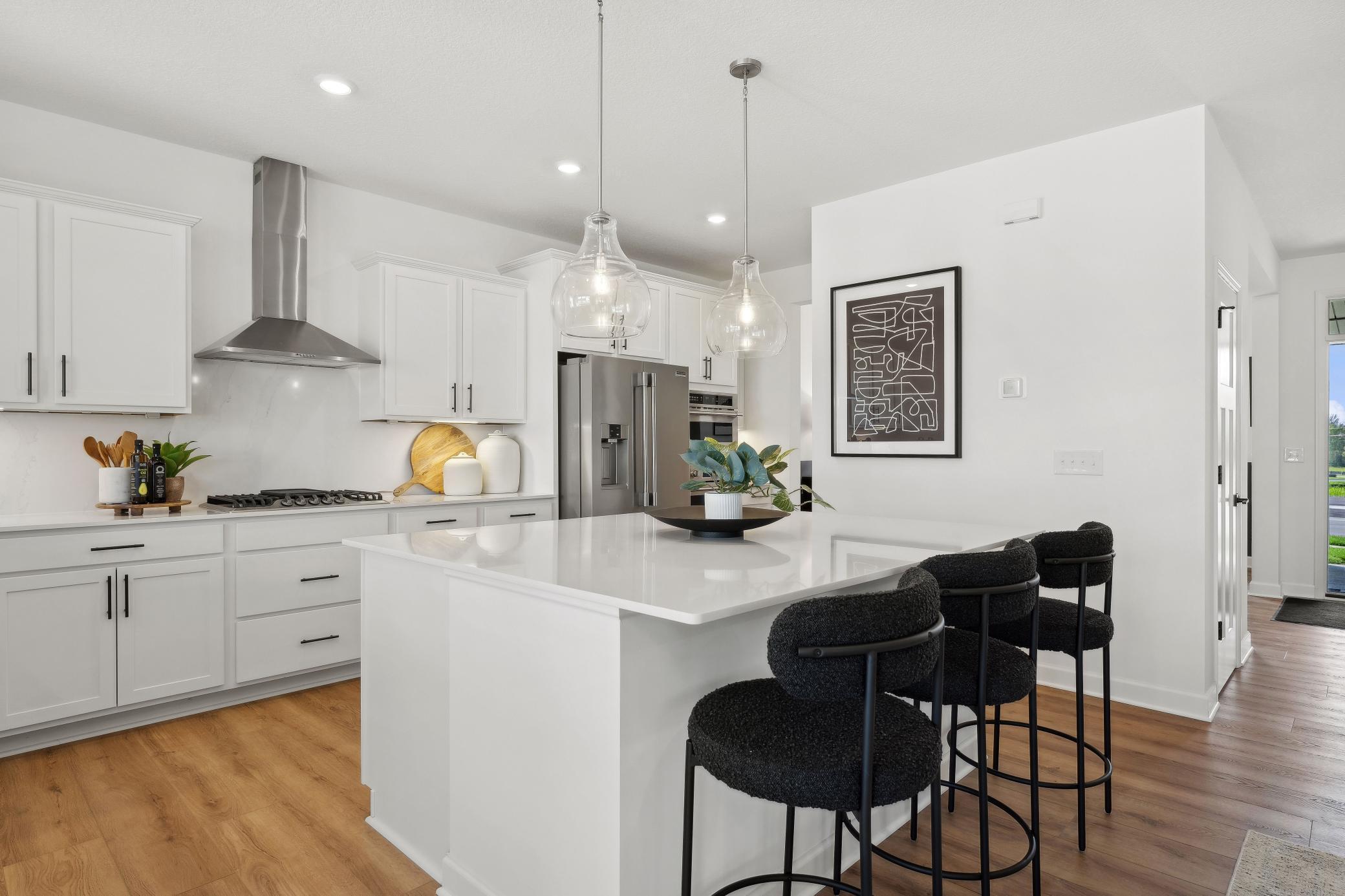 18136 Hounds Drive, Lakeville, Minnesota image 2