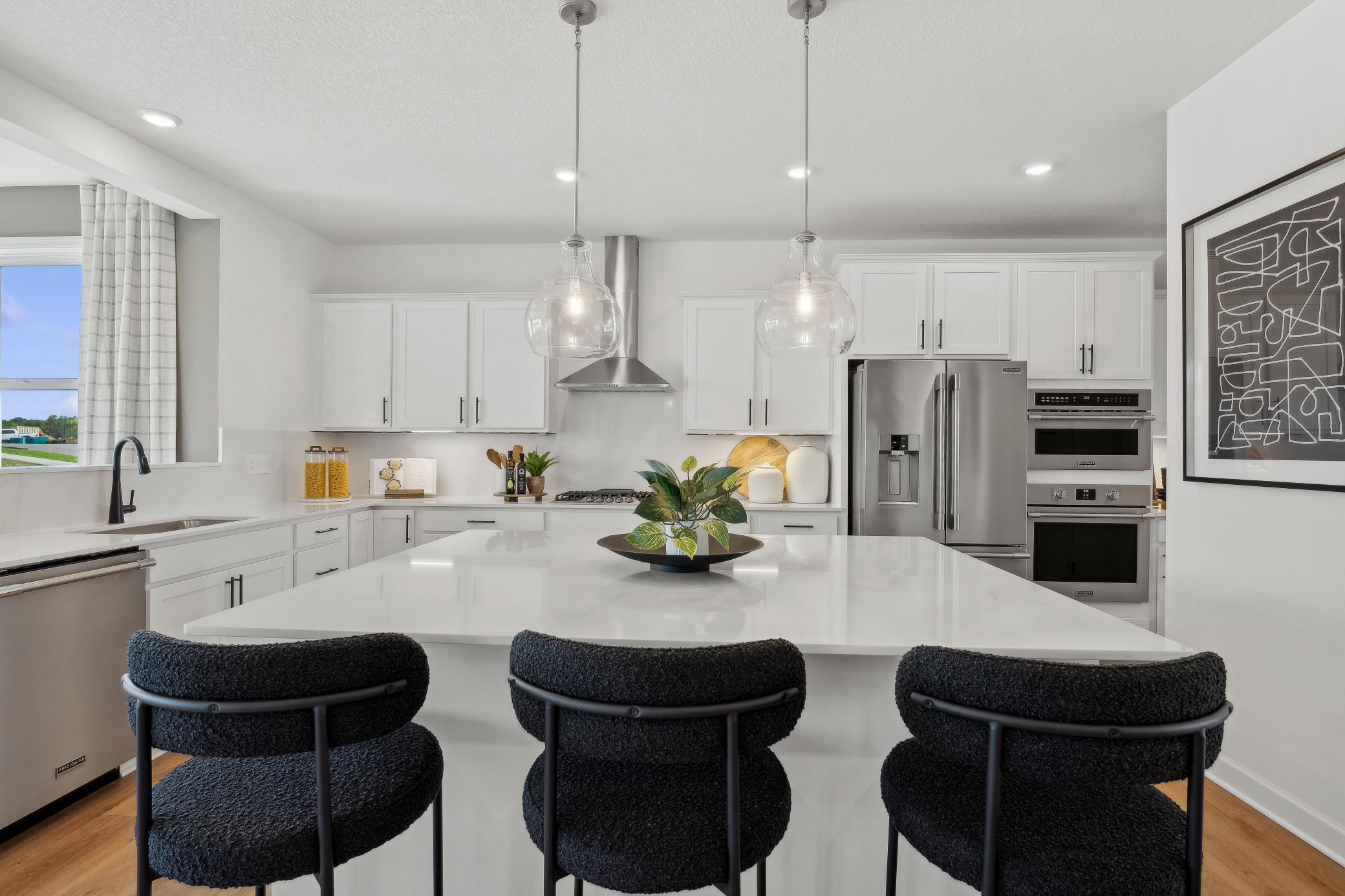 18136 Hounds Drive, Lakeville, Minnesota image 1