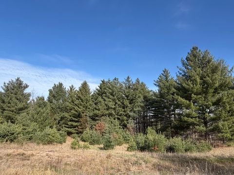 Vacant Land For Sale - L8BLK1 262nd Avenue<br/> Sherburne County, Big Lake, MN 55309