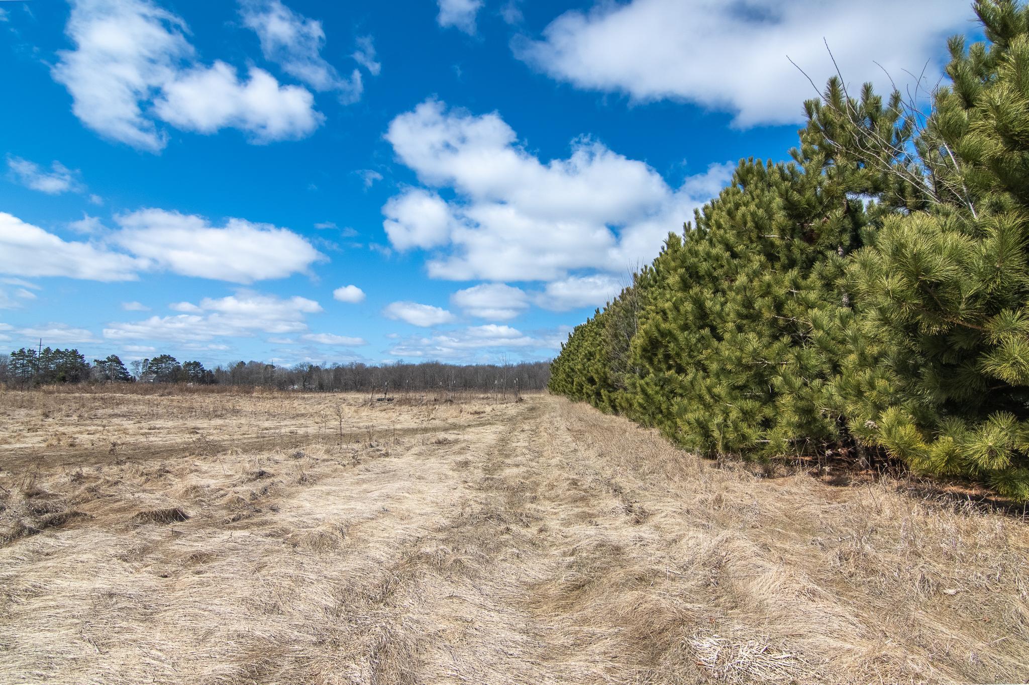 1313 60th Street, Turtle Lake, Wisconsin image 10
