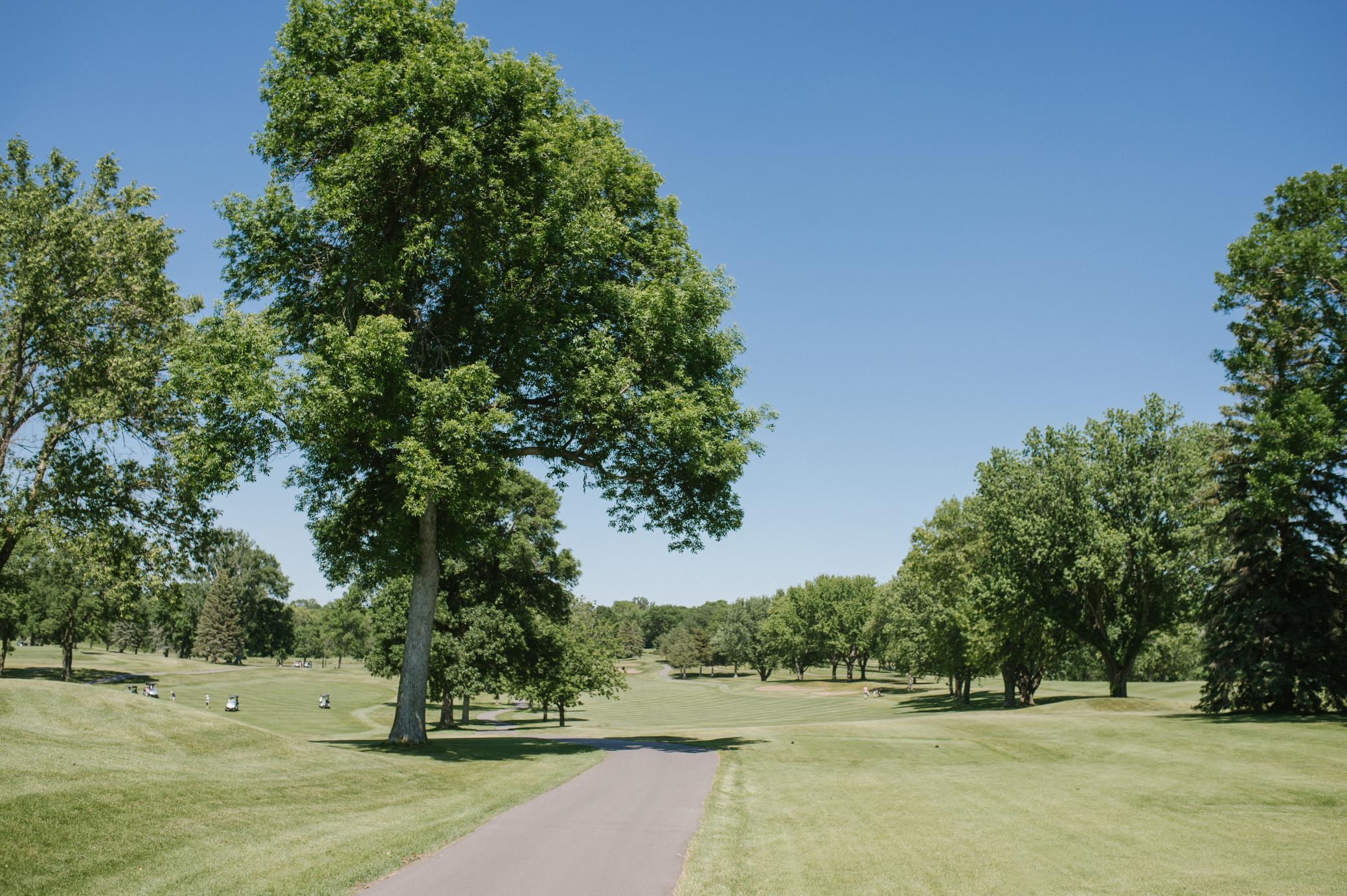 413 Murray Hill Way, Waconia, Minnesota image 33