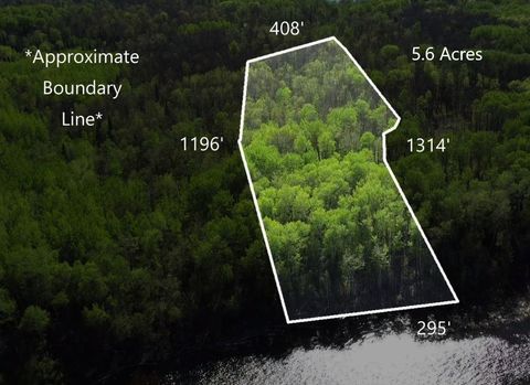 Vacant Land For Sale - LOT 11 - TBD Driftwood Lane<br/> Baudette, MN 56623