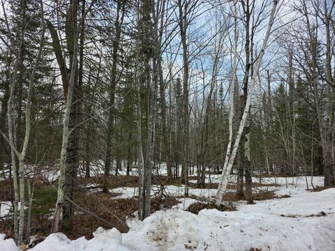 Vacant Land For Sale - TBD Stark Road<br/> Cloquet, MN 55720