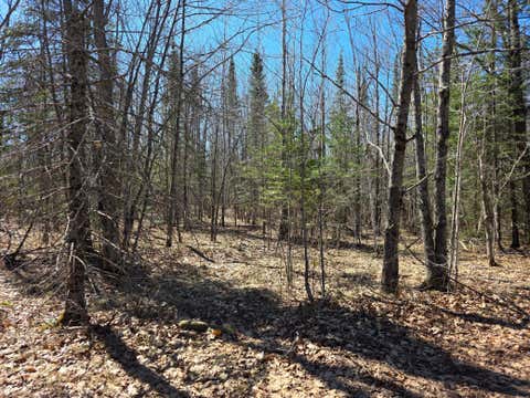 Vacant Land For Sale - TBD Stark Road<br/> Carlton County, Cloquet, MN 55720