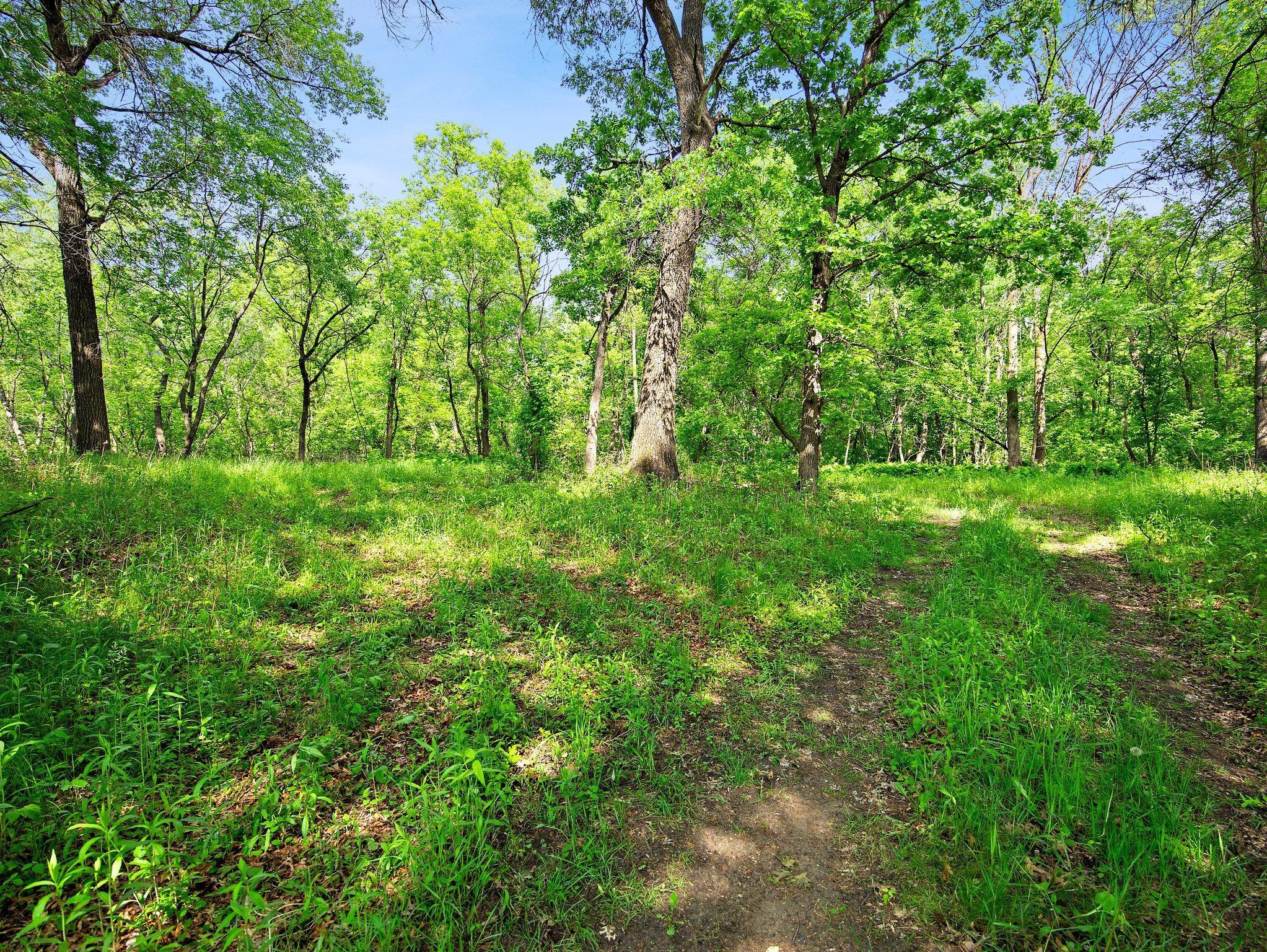 Lot 5 Central Drive, Cambridge, Minnesota image 7