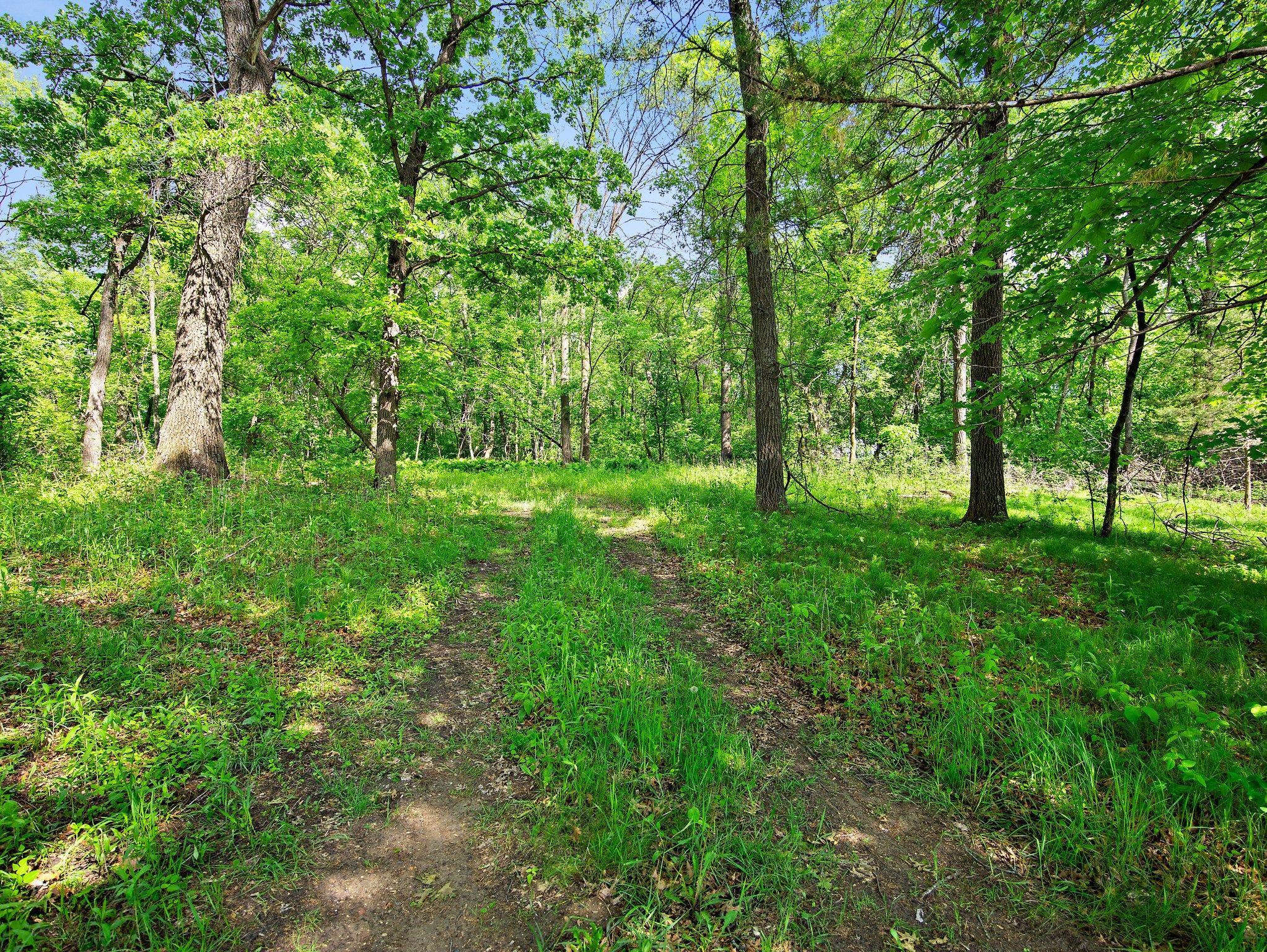 Lot 5 Central Drive, Cambridge, Minnesota image 6