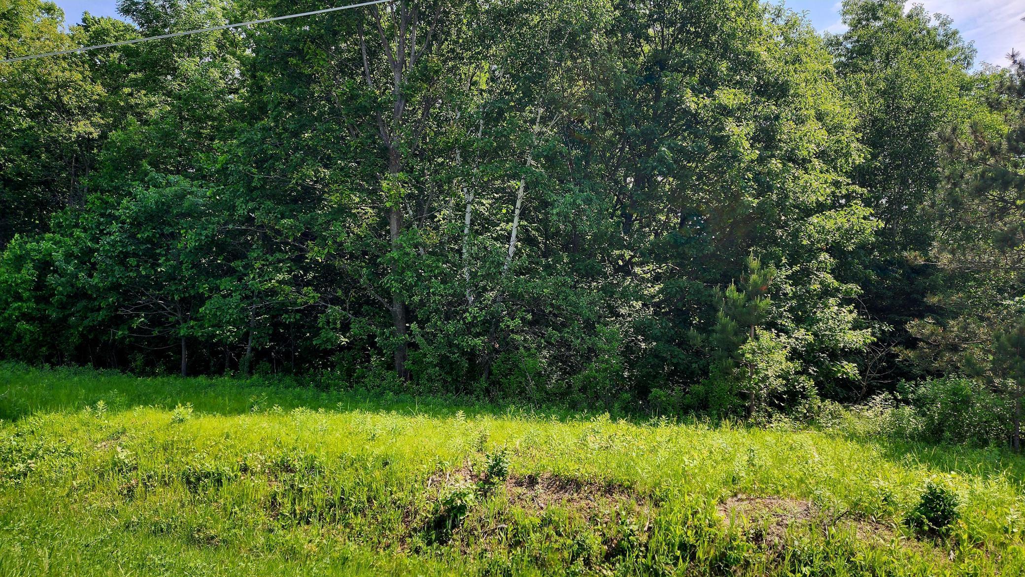 TBD 95th Street, Amery, Wisconsin image 3