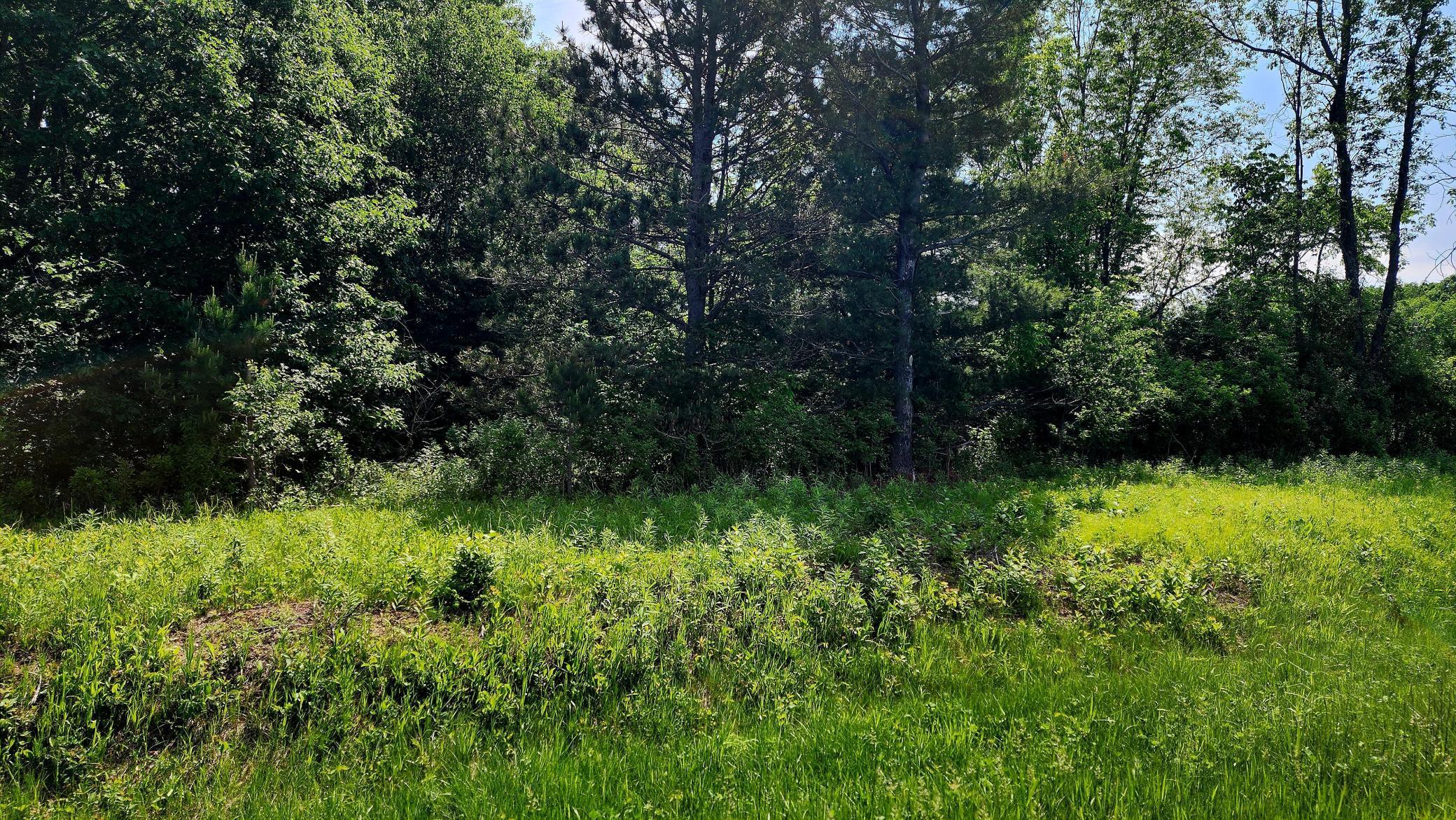 TBD 95th Street, Amery, Wisconsin image 2