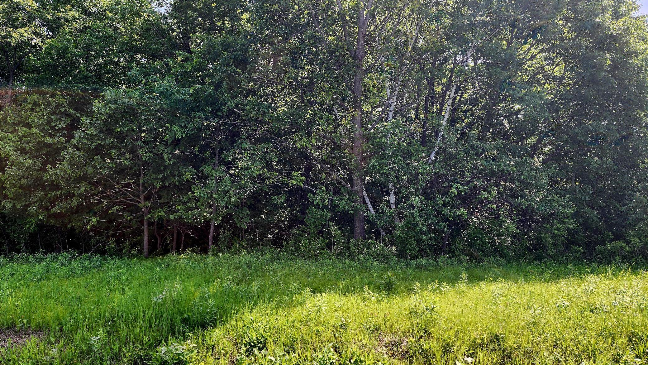 TBD 95th Street, Amery, Wisconsin image 1