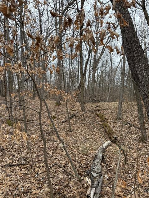 Lot 55 Grouse Pass, Randall, Minnesota image 3