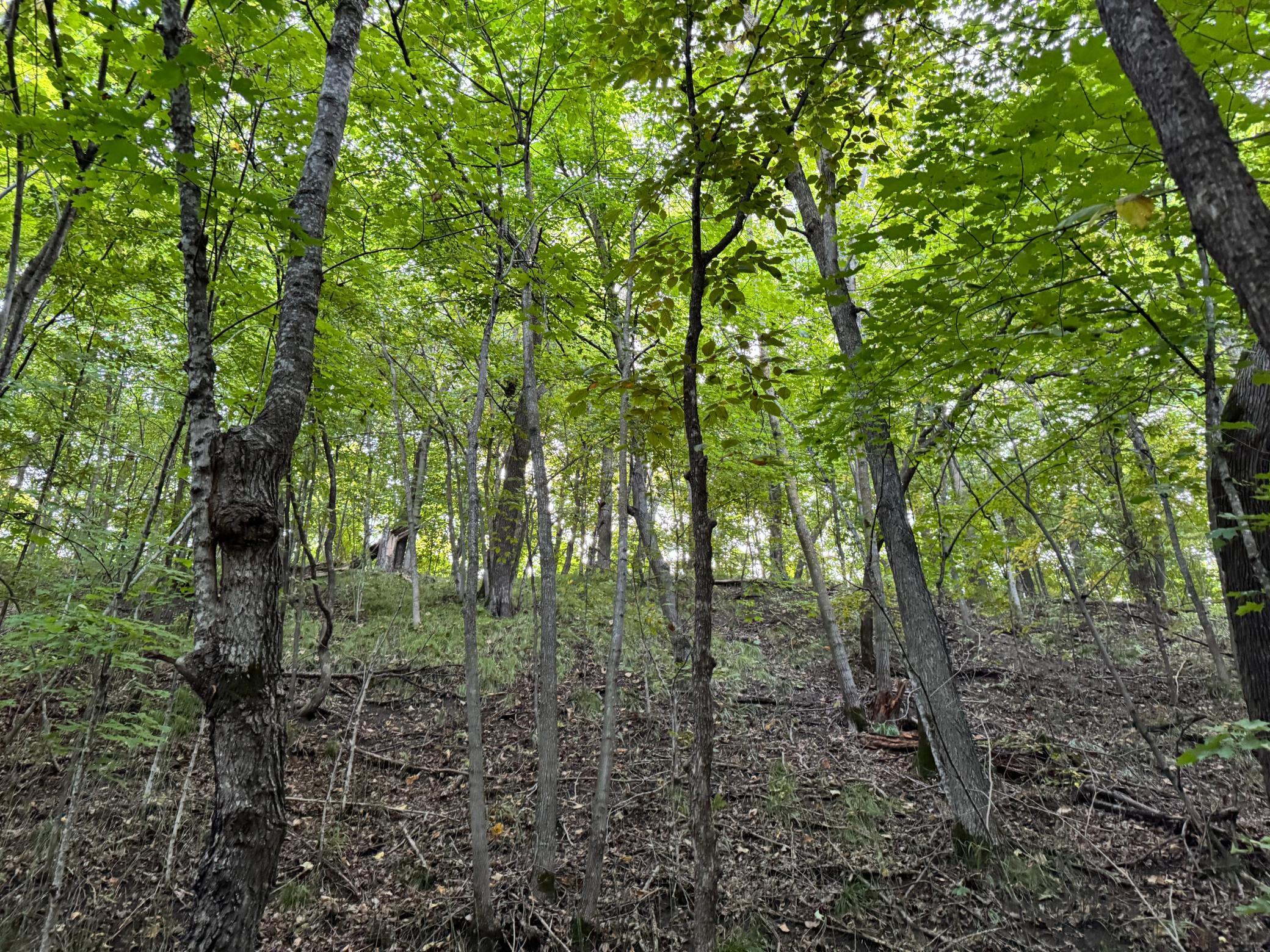 (LOT 3) TBD NE Rock Lake Road, Rochert, Minnesota image 45