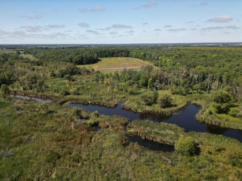 Vacant Land For Sale - TBD Wadena Line Road<br/> Wadena, MN 56482