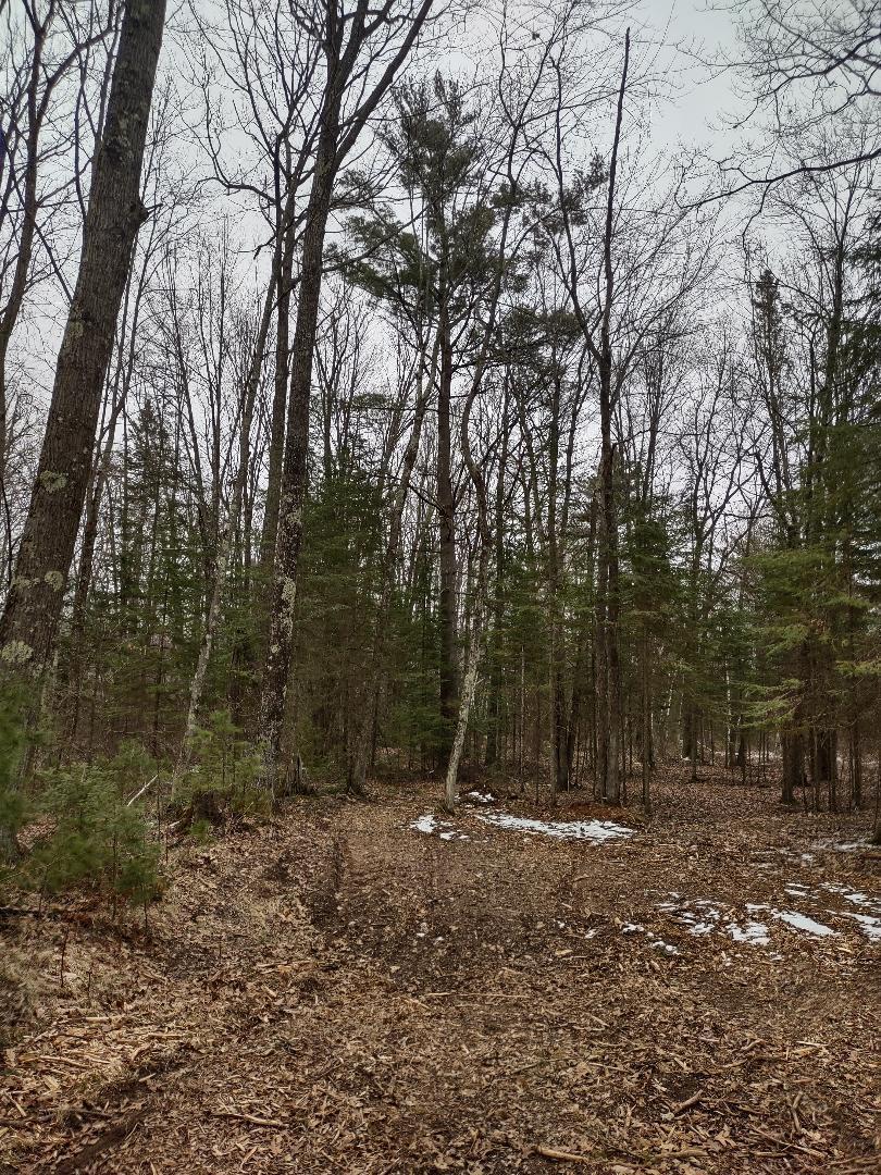 Lot 5 XXX Blaisziks Bay Lane, Hayward, Wisconsin image 9