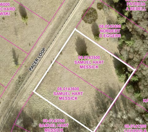 Vacant Land For Sale - LOT 54 & 55 Pacer Loop<br/> Todd County, Browerville, MN 56438
