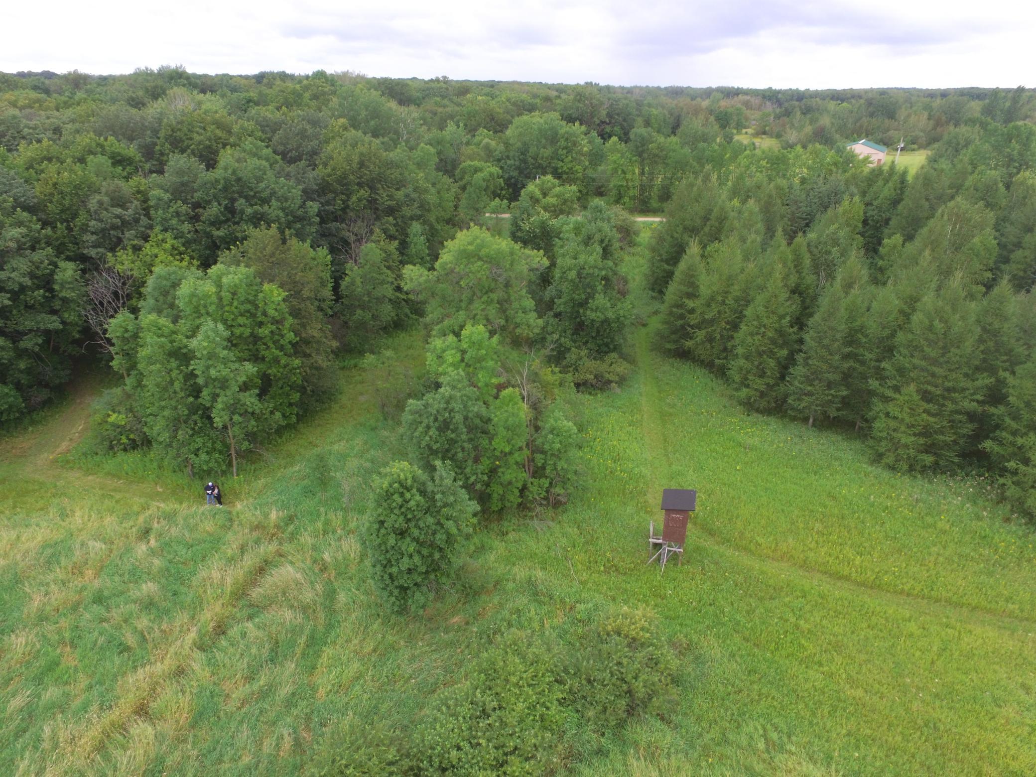 13253 Hackberry Road, Long Prairie, Minnesota image 32